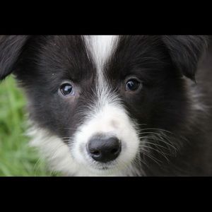 Meet your Posher, Jean